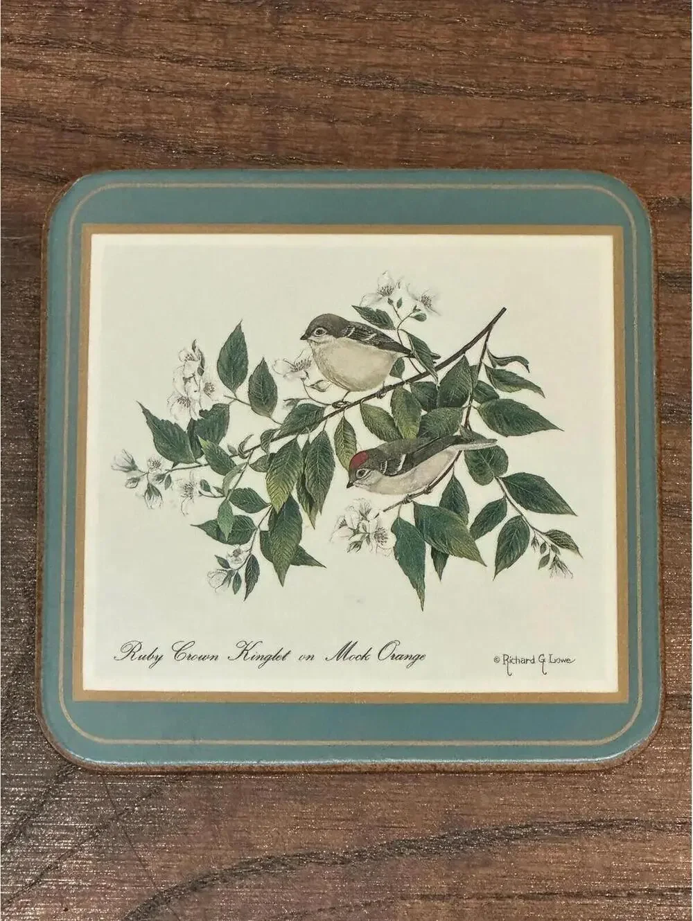 Vintage Pimpernel North American Song Birds Cork Back Coaster Set 5pc